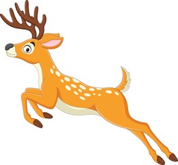 Wall Mural - Cartoon funny deer jumping on white background