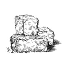 Hay Bale Farm Drawing Sketch. Hand Drawn Haystack. Isolated Vector Illustration.