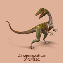 Compsognathus JURASSIC. A Collection Of Various Dinosaurs And Reptiles That Lived During The Jurassic Period Of Earth's History