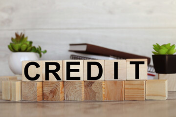 CREDIT. text on wooden cubes. wood blocks are stacked in two rows. in the background notepad and plants