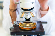 Mature Female Scientist Analyzing With Microscope At Laboratory