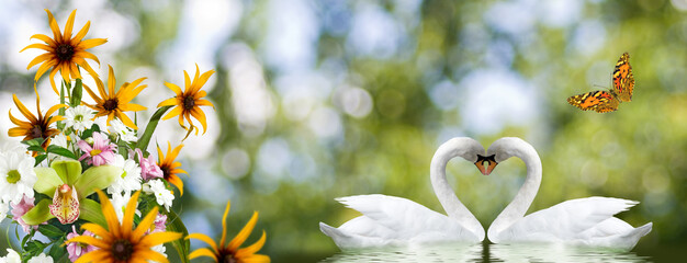 Wall Mural - beautiful festive flowers and two swans