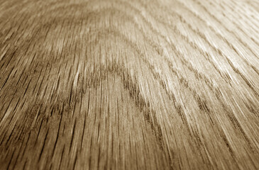 Wall Mural - Old oak board texture as background with blur effect in brown tone.