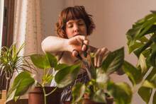 Woman With Short Hair Cutting Leaf Of Plants At Home