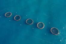 Aerial View Of Row Of Fish Farms Floating In Blue Water