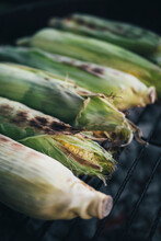 View Of Corn Cobs