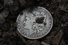 1882 Morgan Silver Dollar Outside On Dirt Close Up