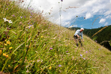 Senior Farmer Using Scythe On Steep Slope Hill At Salzburg State, Austria