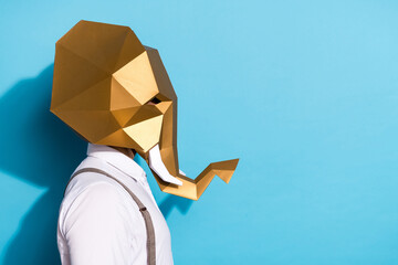 Sticker - Photo of strange funny man wear gold elephant mask looking empty space isolated blue color background