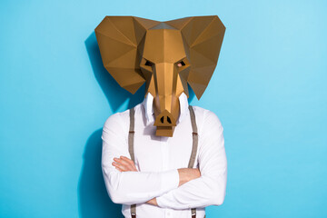 Poster - Photo of strange charismatic man wear golden elephant mask arms folded isolated blue color background