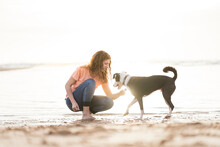 Woman Stroking Dog At Beach During Sunny Day