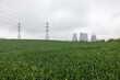 © Westend61 - UK, England, Rugeley, Field with electricity pylons and cooling towers in background