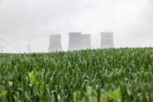 UK, England, Rugeley, Large Cooling Towers During Foggy Weather With Field In Foreground