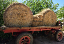 Rolled Hay Bales On An Ancient Wagon, Ready For Transport