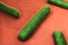 Three Dimensional Render Of Green Bacteria On Human Tissue