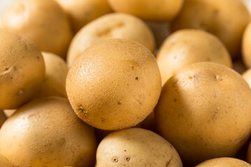 Poster - Raw Yellow Organic Baby Potatoes