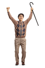 Sticker - Full length portrait of a happy elderly man raising hands up and gesturing happiness