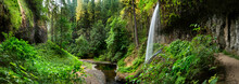 Waterfalls In Pacific Northwest Forest