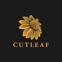 Cutleaf Coneflower Logo Inspiration, Natur, Plant