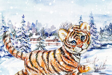 Winter Village Landscape With Snowfall And Baby Tiger As Symbol Of The Year Painted In Watercolor