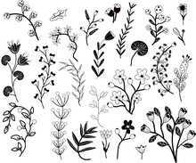 Big Collection Flowers, Leaves, Tree Branches, Berries. Scandinavian Style. Wild Botanical Elements For Your Design. Simple Minimalistic Black White Flowers. Vector Illustration.
