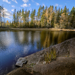 Wall Mural - lake in the forest