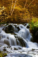  Flowing Stream in Fall
