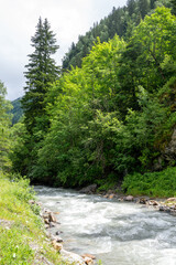 Wall Mural - View on Bon Nant mountain river, green forests and apline meadows near Saint-Gervais-les-Bains, Savoy. France