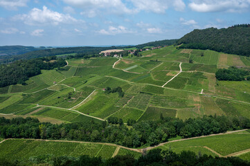 Canvas Print - Panoramic view on green hilly vineyards near wine village Chateau-Chalon in Jura, France