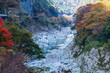 View of oboke gorge in Miyoshi city, Tokushima, Shikoku, Japan