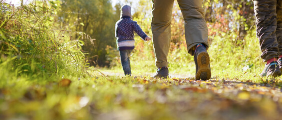 people walking in the woods