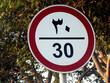30 KM Speed limit sign, translation of Arabic text is (thirty) kilometers per hour, restriction sign for car drivers not to exceed the speed over 30 kilometers per hour on a side road           