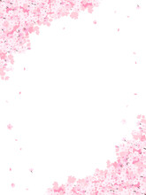 満開の桜　フレーム・背景素材（縦向き）