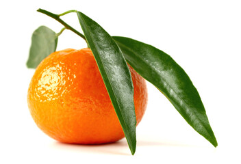 Wall Mural - Tangerine Fruit with Leaves on white Background Isolated