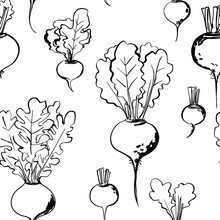 Vector Pattern Sketch Of Vegetables. Color Sketch Of Food. Pumpkin, Carrots, Onions, Turnips