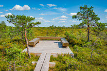 Observation Facilities Inside A Nature Reserve. The Wooden Path Leads To The Site With Benches Among Pines. Tuhu Hiking Trail. Estonia.
