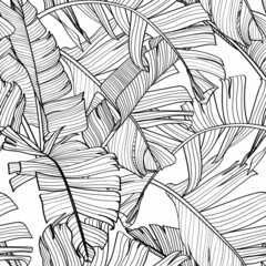 Wall Mural - Botanical seamless pattern, hand drawn line art banana leaves on white.  Printable black white wallpaper or textile illustration.