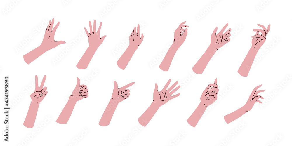 Set collection of cartoon hands. Different set positions. Angles ...
