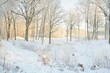 Snow-covered forest at sunrise. Overgrown hills and frozen river. Mighty trees. Pure golden sunlight. Winter wonderland. Seasons, ecology, ecotourism, christmas vacations