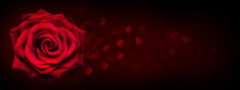 Red Rose Flower On Dark Background With Heart Shape Bokeh Light.