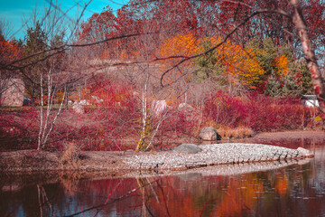 Poster - Small rock island in a pond in the japanese garden in Autumn