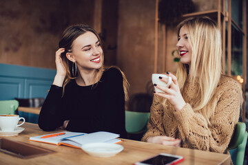 Wall Mural - Smiling female friends talking with each other