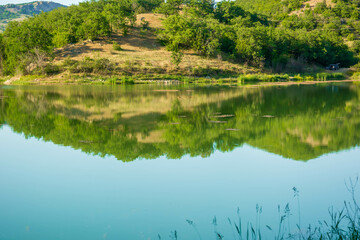 Canvas Print - Forest Lake