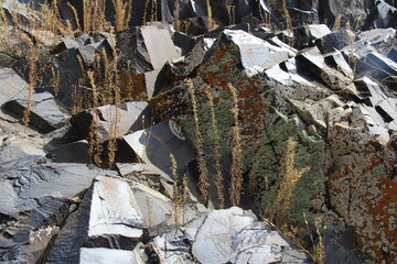 Wall Mural - Beautiful dark pointed stones with green, orange and white lichen in the Tamgaly Tas tract, between the stones dry twigs of plants, summer, sunny