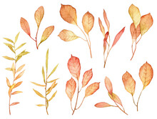 Set Of Hand Painted Watercolor Botany Isolated On White Background. Raster Scanned Autumn Wilted Leaves On Twigs