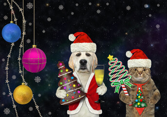 Wall Mural - Pets in Santa Claus costumes with sweets and wine near the Christmas balls. Night star background.