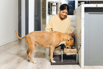 Wall Mural - Woman By Dog Eating Food At Home