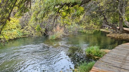 autumn at the lake