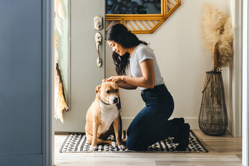 Wall Mural - Young Woman Adjusting Collar Of Dog At Home