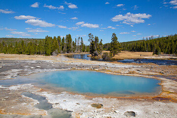 Wall Mural - Lower geyser basin